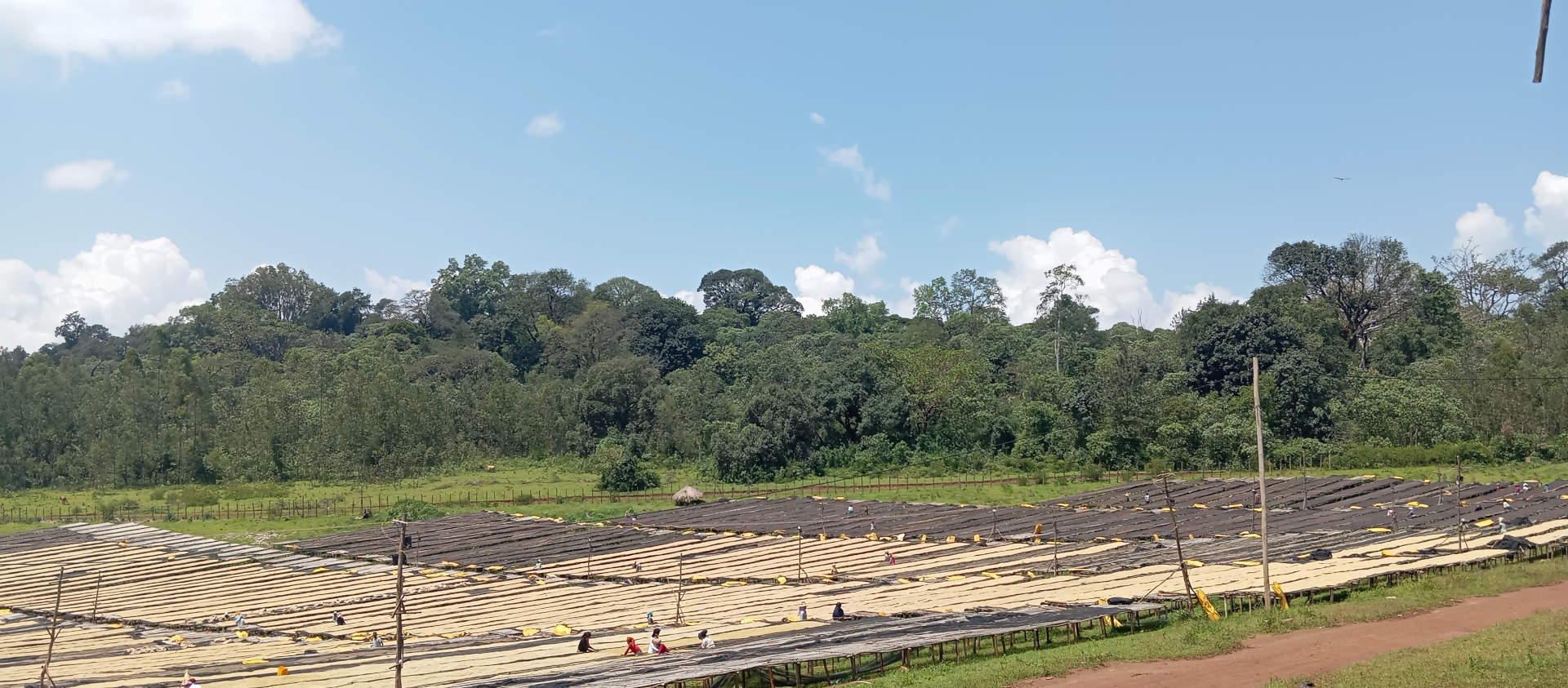 Kebena Trading